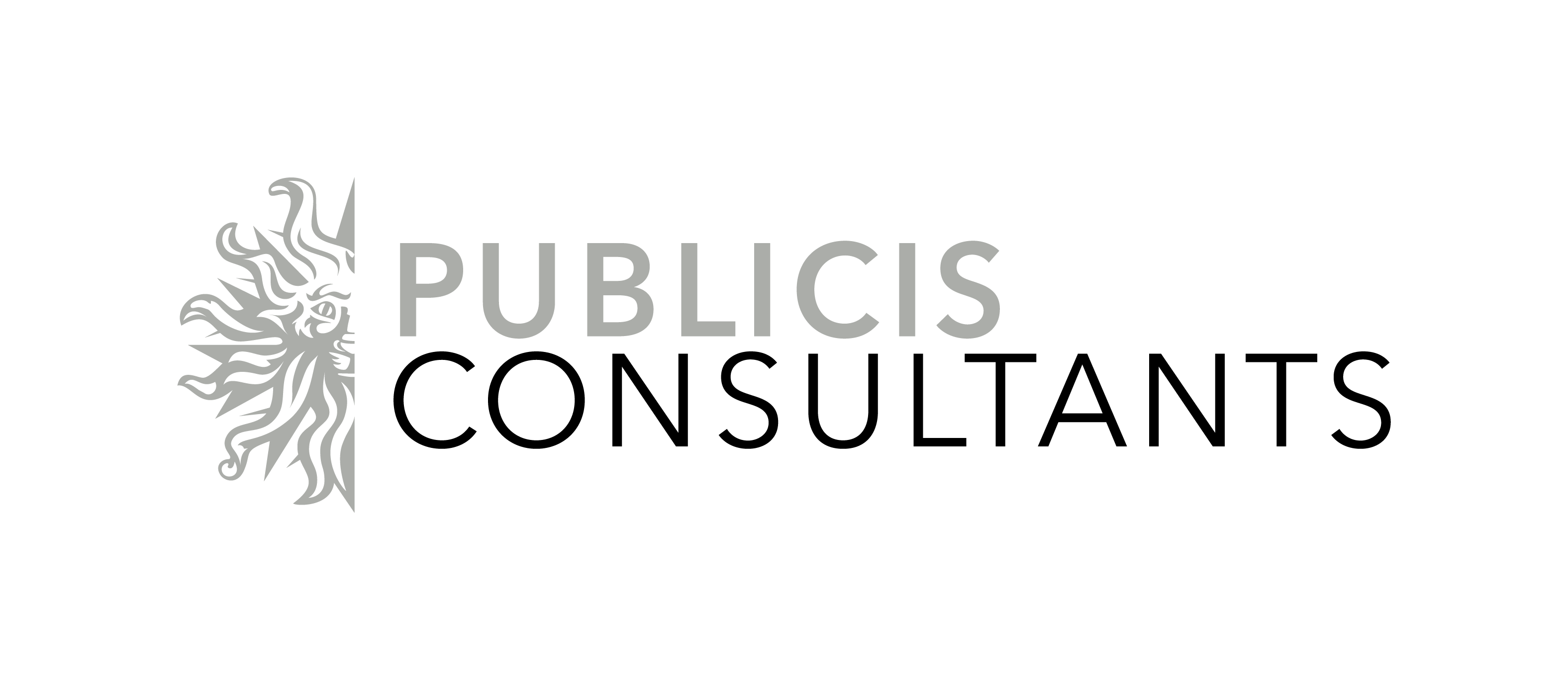 publicis jimenezbasic company profile
